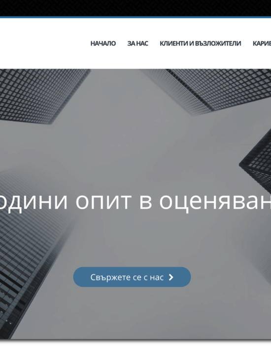 BrainConsult is consulting company representative website