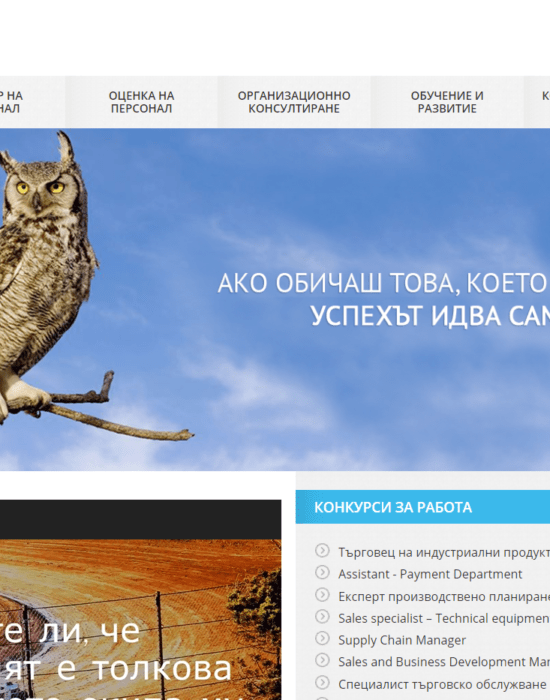 Synectica representative web site